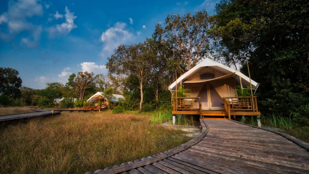 Cardamon Camp Tent