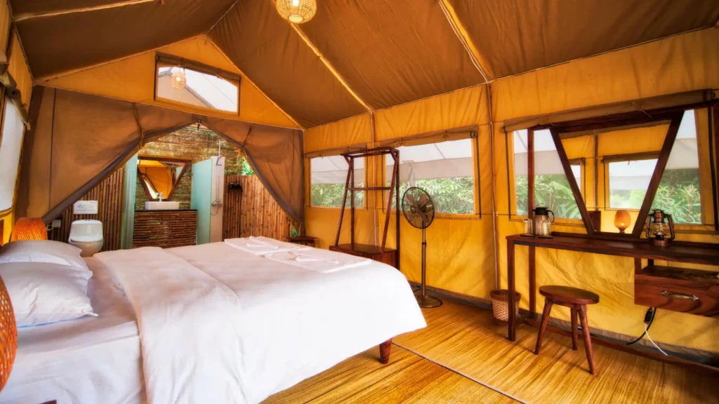 Luxury tent accommodation