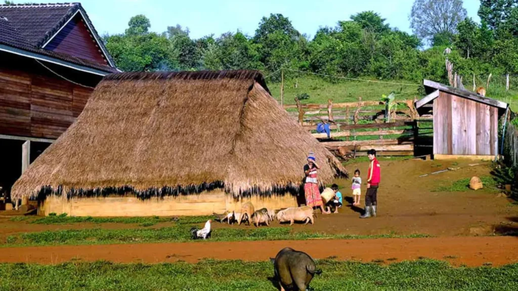 Daily people living activities in Mondulkiri